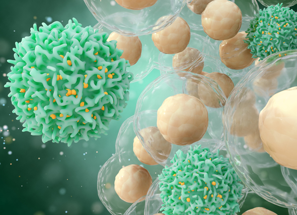 Introduction to Cellular Immunotherapy